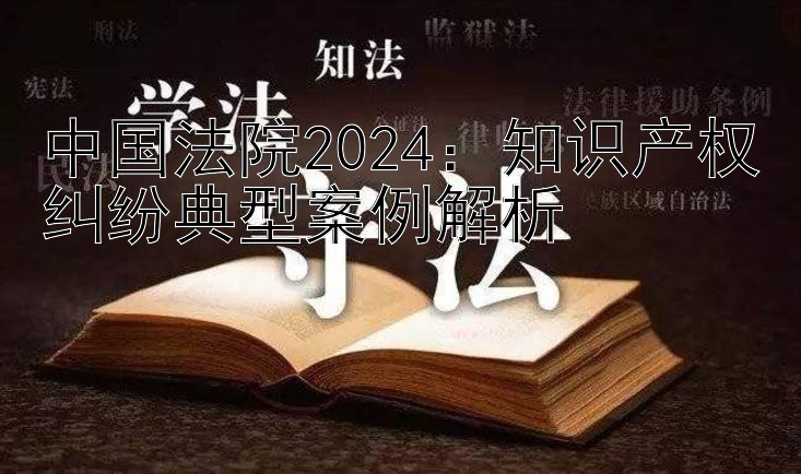 中国法院2024：知识产权纠纷典型案例解析